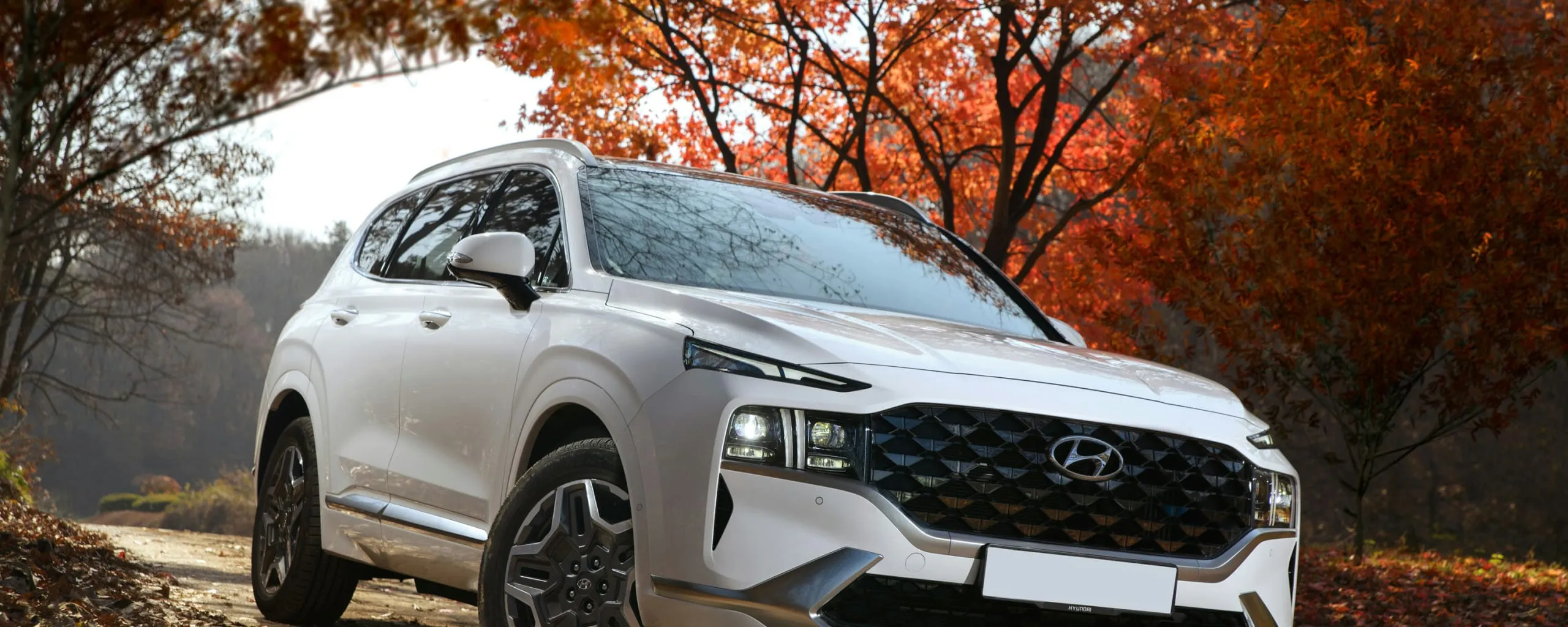 Hyundai Repair and Service near Washington, DC