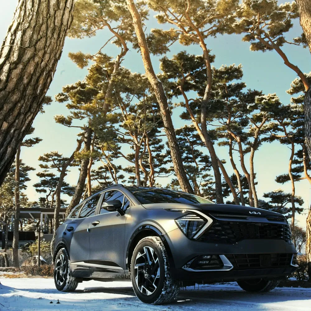 Kia Repair and Service in Falls Church, VA